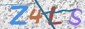 画像に表示された文字を入力して下さい