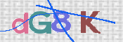 画像に表示された文字を入力して下さい