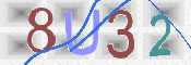 画像に表示された文字を入力して下さい