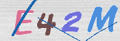 画像に表示された文字を入力して下さい