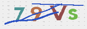画像に表示された文字を入力して下さい