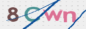 画像に表示された文字を入力して下さい