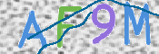 画像に表示された文字を入力して下さい