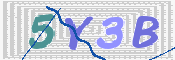 画像に表示された文字を入力して下さい