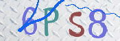 画像に表示された文字を入力して下さい