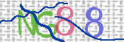 画像に表示された文字を入力して下さい