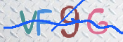 画像に表示された文字を入力して下さい