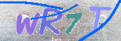 画像に表示された文字を入力して下さい