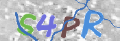 画像に表示された文字を入力して下さい