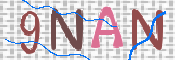 画像に表示された文字を入力して下さい