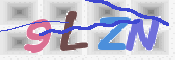 画像に表示された文字を入力して下さい