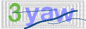画像に表示された文字を入力して下さい
