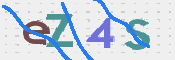 画像に表示された文字を入力して下さい