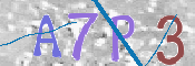 画像に表示された文字を入力して下さい