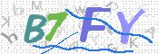 画像に表示された文字を入力して下さい