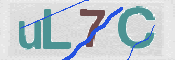 画像に表示された文字を入力して下さい