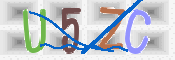 画像に表示された文字を入力して下さい