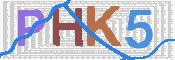 画像に表示された文字を入力して下さい