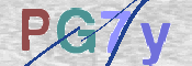 画像に表示された文字を入力して下さい
