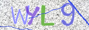 画像に表示された文字を入力して下さい