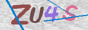 画像に表示された文字を入力して下さい