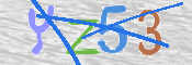 画像に表示された文字を入力して下さい