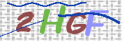 画像に表示された文字を入力して下さい