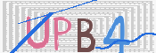 画像に表示された文字を入力して下さい