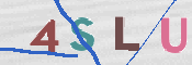 画像に表示された文字を入力して下さい