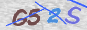 画像に表示された文字を入力して下さい