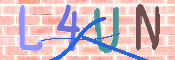 画像に表示された文字を入力して下さい