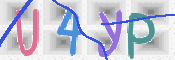 画像に表示された文字を入力して下さい
