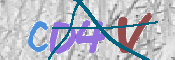 画像に表示された文字を入力して下さい