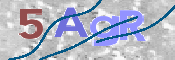 画像に表示された文字を入力して下さい