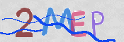 画像に表示された文字を入力して下さい