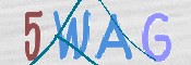 画像に表示された文字を入力して下さい