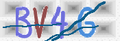 画像に表示された文字を入力して下さい