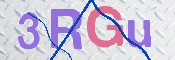 画像に表示された文字を入力して下さい