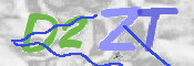 画像に表示された文字を入力して下さい