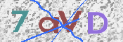 画像に表示された文字を入力して下さい