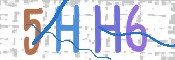 画像に表示された文字を入力して下さい