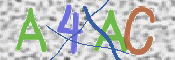 画像に表示された文字を入力して下さい