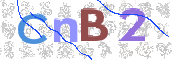 画像に表示された文字を入力して下さい