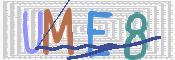 画像に表示された文字を入力して下さい