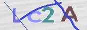 画像に表示された文字を入力して下さい