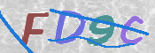 画像に表示された文字を入力して下さい