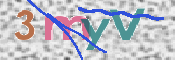 画像に表示された文字を入力して下さい