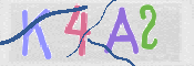 画像に表示された文字を入力して下さい