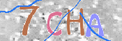 画像に表示された文字を入力して下さい