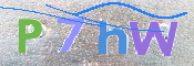 画像に表示された文字を入力して下さい
